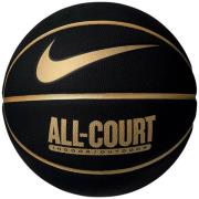 Nike Dagelijks 8p basketbal op alle banen