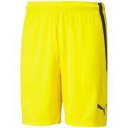 Puma Heren team liga korte broek
