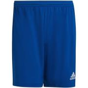 Adidas Heren entrada 22 korte broek