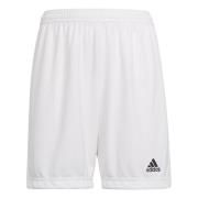 Adidas Kinderen/kinderen entrada 22 korte broek