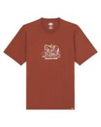 Dickies T-shirt korte mouw dk0a4z91k471