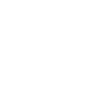 Smashed Lemon 25197 -te geborduurde top |
