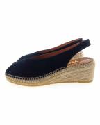 Viguera 2200 pumps