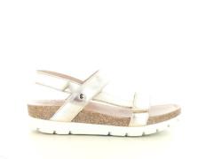 Panama Jack Selma shine