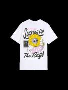 Lyle and Scott Sunnies pool bar graphic t-shirt