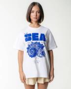 Colourful Rebel T-shirt wt116886 sea