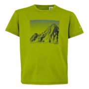 Regatta Kinderen/kinderen alvarado ix berg t-shirt