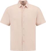 Dstrezzed Ds anthony shirt