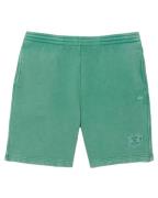 Lacoste Short gh9925