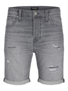 Jack & Jones Jjirick jjicon i.k. shorts ge 064 s grey denim