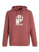 Protest classic logo hoody men hoodie heren -