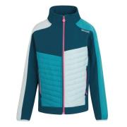 Regatta Childrens/kids brynden gewatteerde full zip soft shell jas