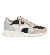 DL Sport 6529