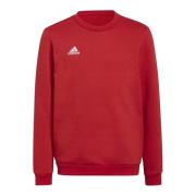 Adidas Kinderen/kinderen entrada 22 sweatshirt