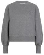 Dante 6 Sweat 253600 lison