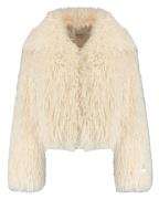 Harper & Yve Coat aw25n206 stacy