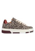 DWRS Label Whitby leopard j6972-02-4568 bordeaux / grijs