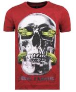 Local Fanatic Skull snake fun t-shirt